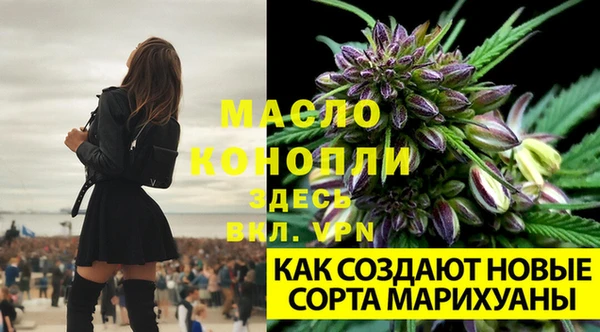 мдма Кинешма