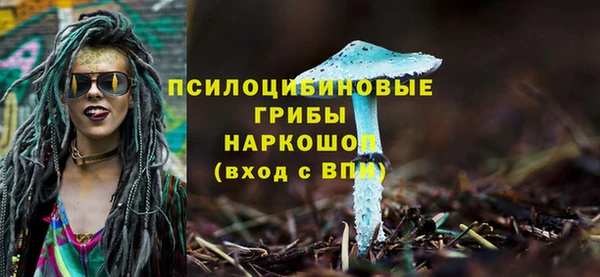 a pvp Алексин