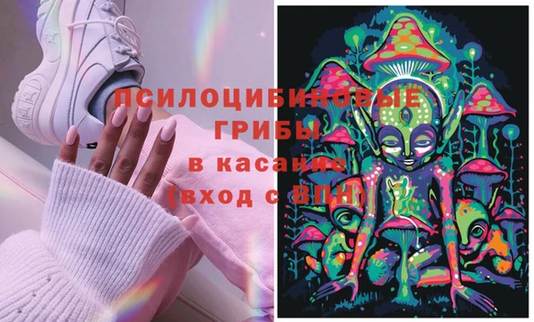 твердый Алексеевка